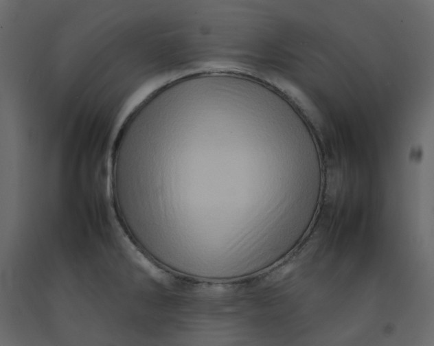 X0000092231286200710051211