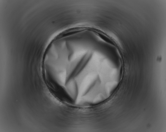 X0000092231288200710051211