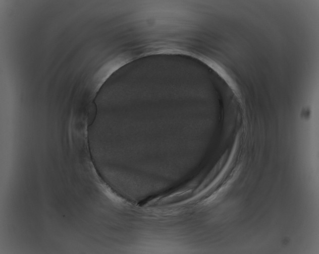 X0000092231289200710051211