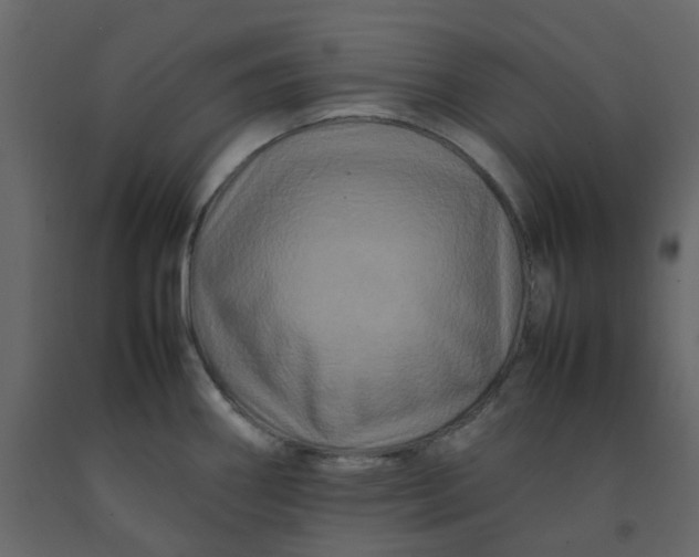 X0000092231290200710051211