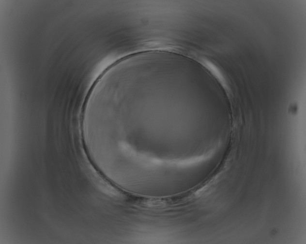 X0000092231291200710051211