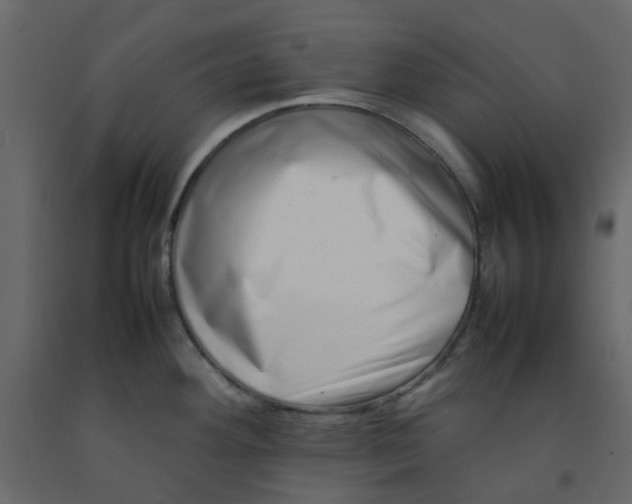 X0000092231292200710051211