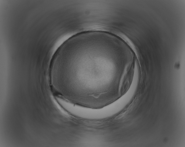 X0000092231293200710051211