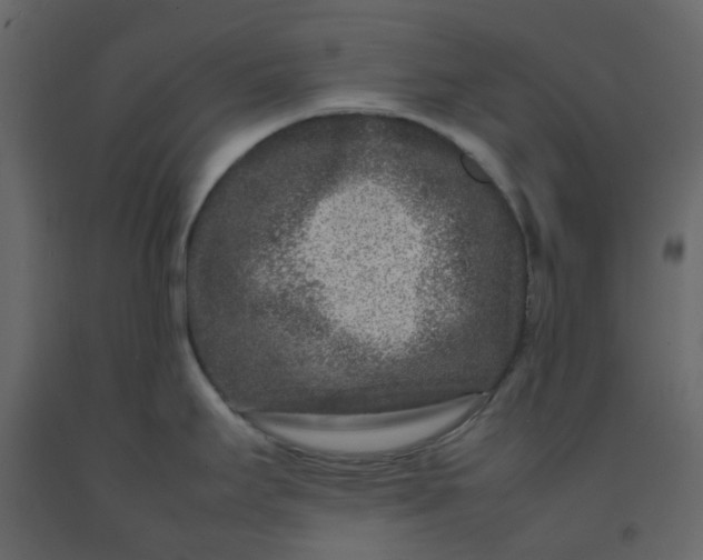 X0000092231295200710051211