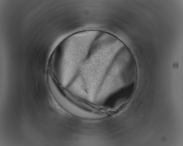 X0000092231296200710051211