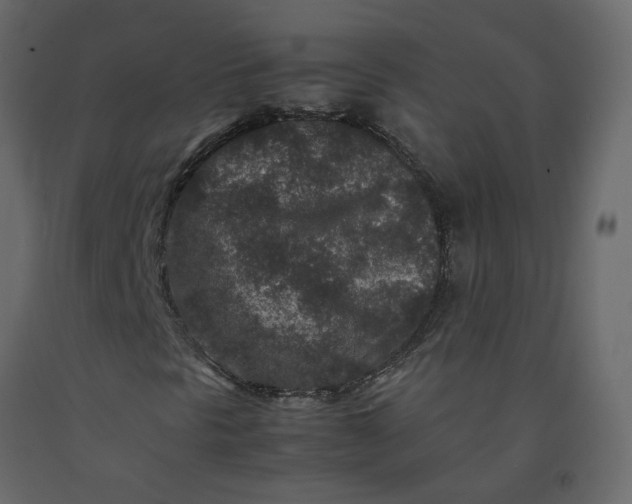 X0000092231297200710051211