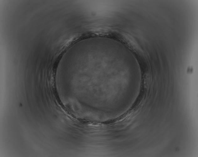 X0000092231298200710051211