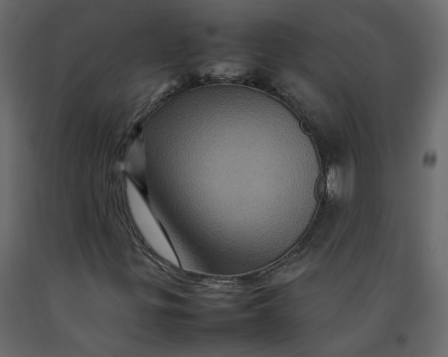 X0000092231299200710051211