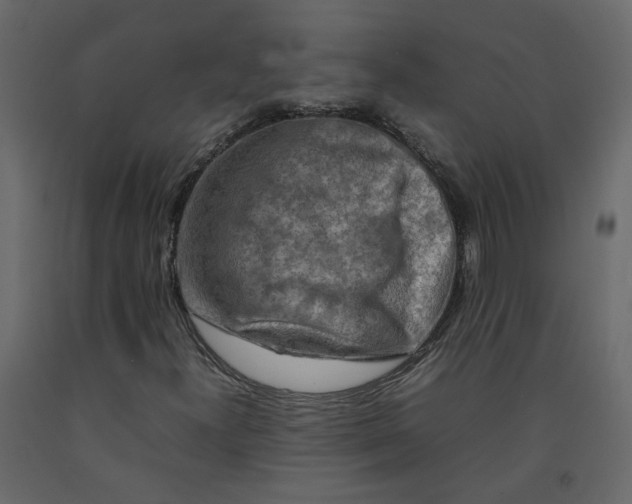 X0000092231300200710051211