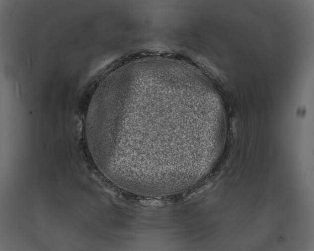 X0000092231302200710051211