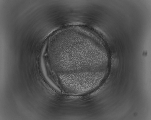 X0000092231305200710051211