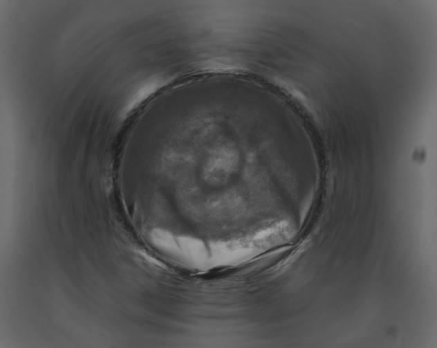 X0000092231306200710051211