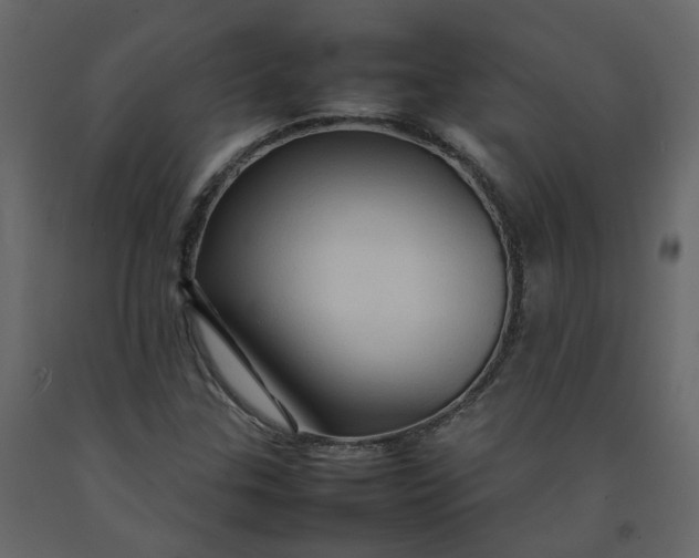 X0000092231307200710051211