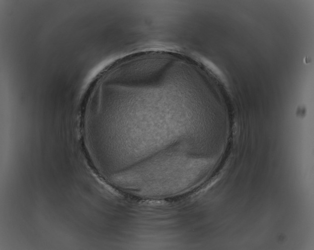 X0000092231310200710051211