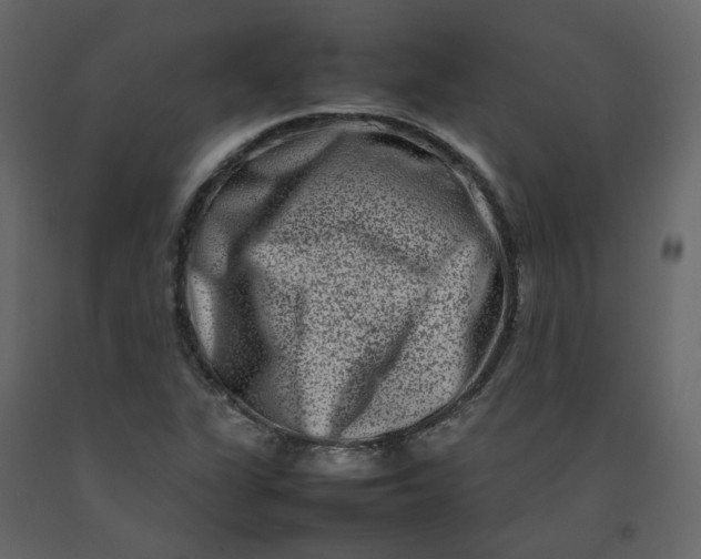 X0000092231311200710051211