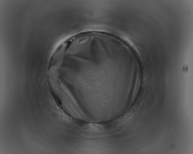 X0000092231312200710051211