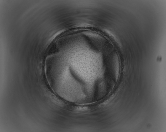 X0000092231313200710051211