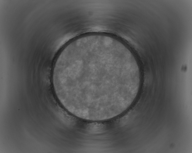 X0000092231314200710051211