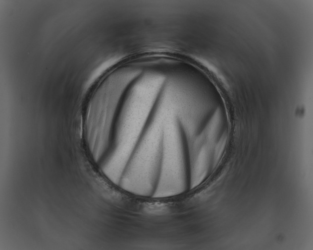 X0000092231317200710051211