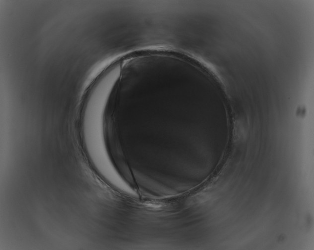 X0000092231319200710051211