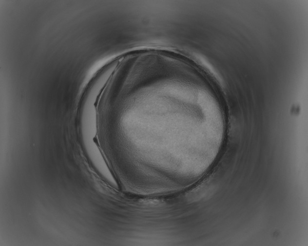 X0000092231320200710051211