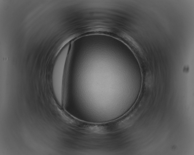 X0000092231321200710051211