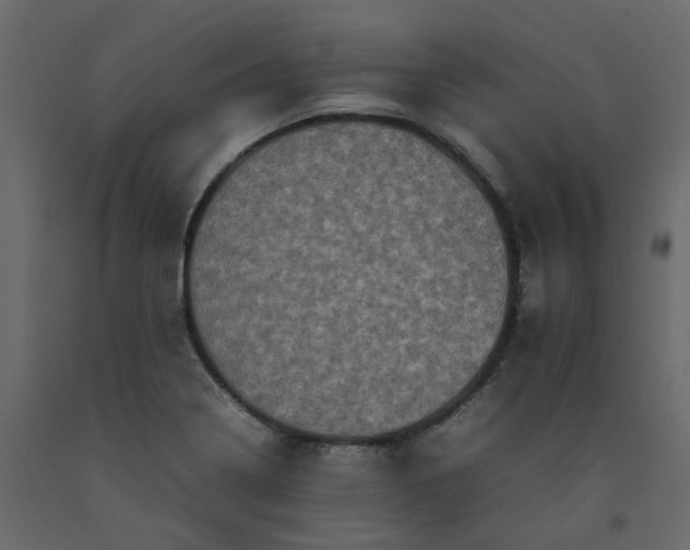 X0000092231322200710051211