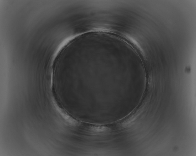 X0000092231323200710051211