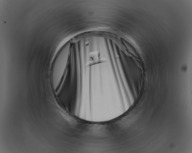 X0000092231324200710051211