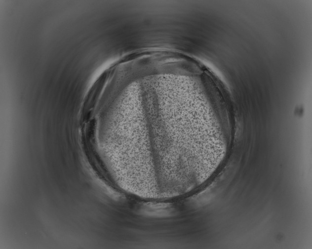 X0000092231325200710051211