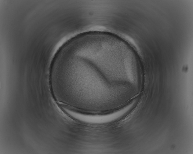 X0000092231326200710051211