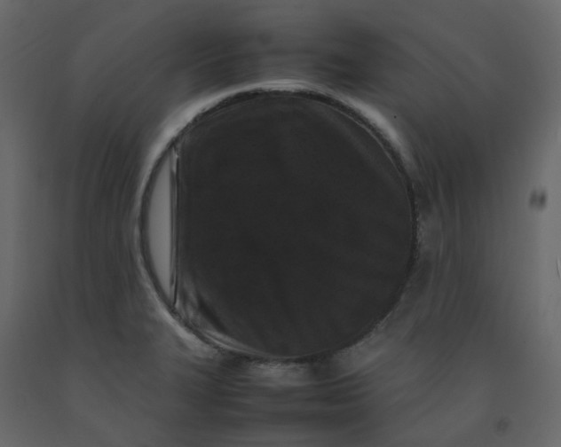 X0000092231327200710051211