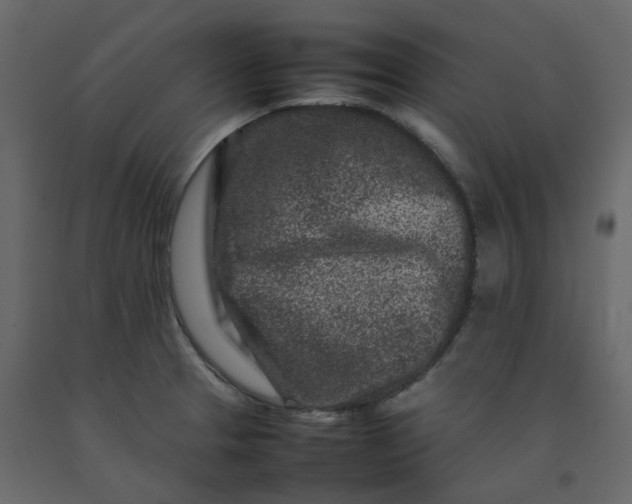 X0000092231329200710051211