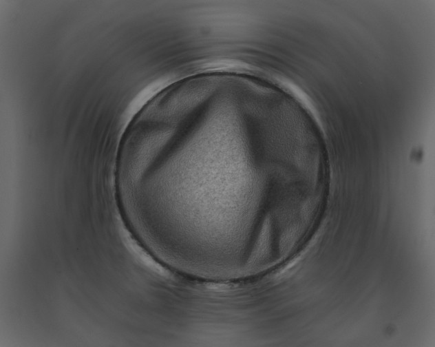 X0000092231330200710051211