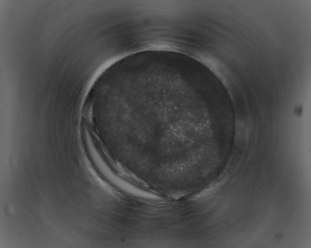 X0000092231331200710051211