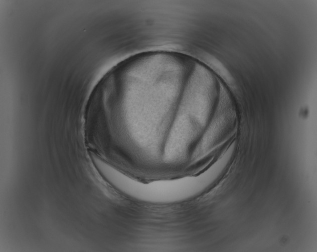 X0000092231332200710051211