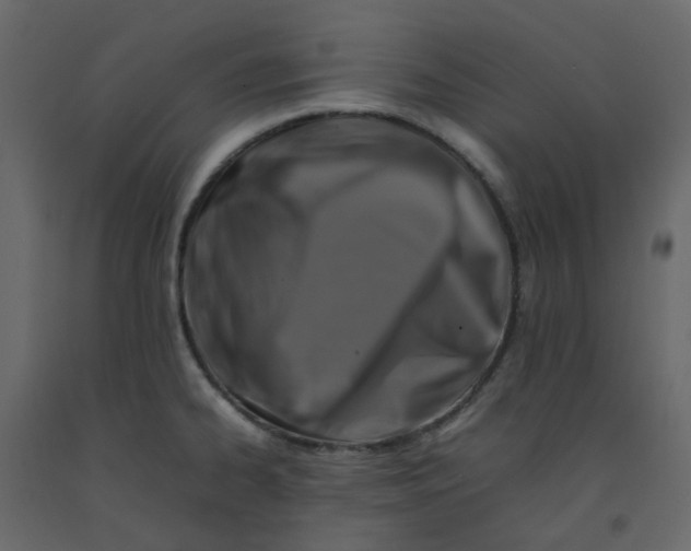 X0000092231334200710051211