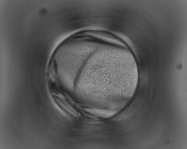 X0000092231335200710051211