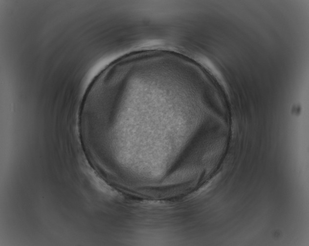 X0000092231336200710051211