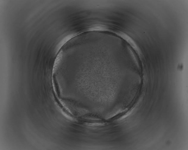 X0000092231337200710051211