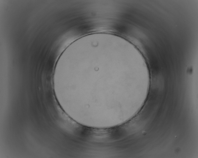 X0000092231338200710051211