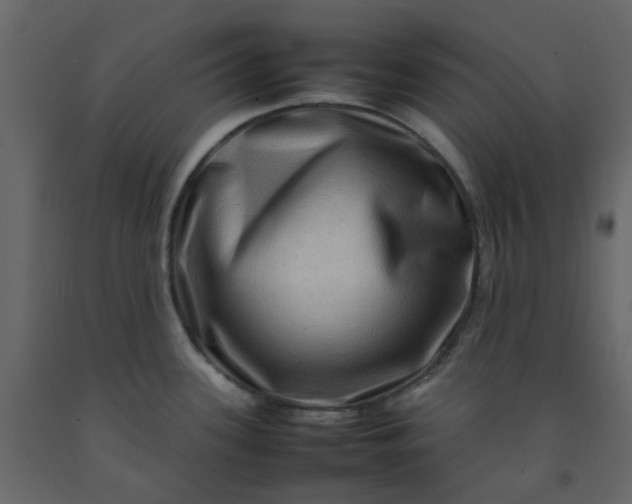 X0000092231339200710051211