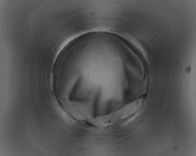 X0000092231340200710051211