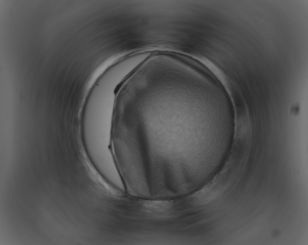 X0000092231341200710051211