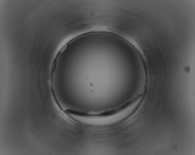 X0000092231342200710051211