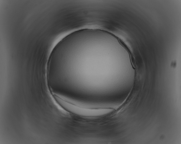 X0000092231343200710051211