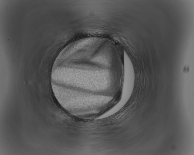 X0000092231345200710051211