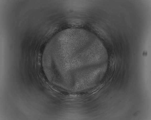 X0000092231346200710051211