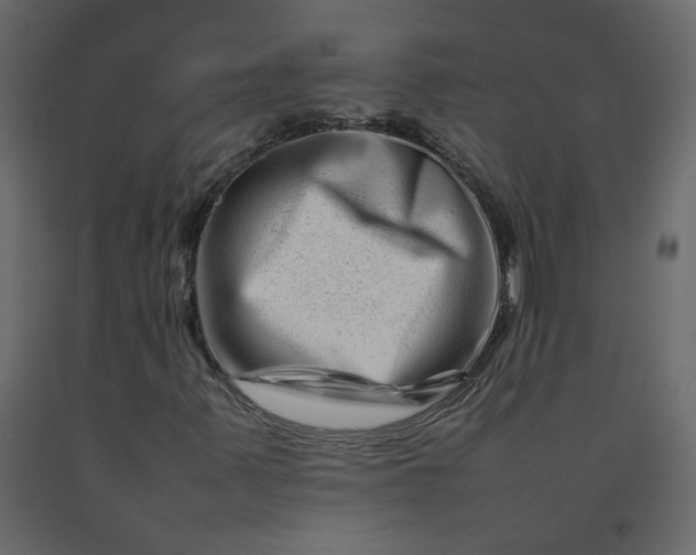 X0000092231347200710051211