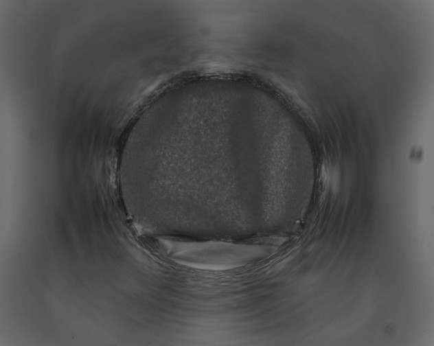 X0000092231348200710051211